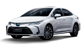 VERNA